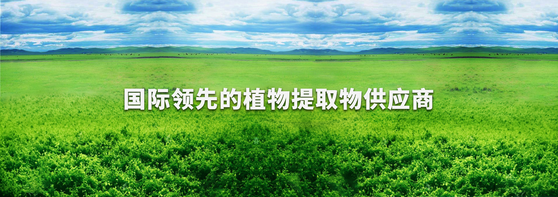 德赢·(VWIN)官方网站-AC米兰官方相助同伴