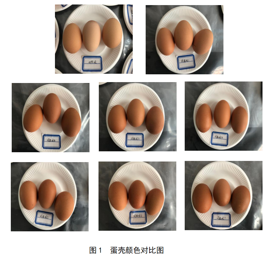 德赢·(VWIN)官方网站-AC米兰官方相助同伴