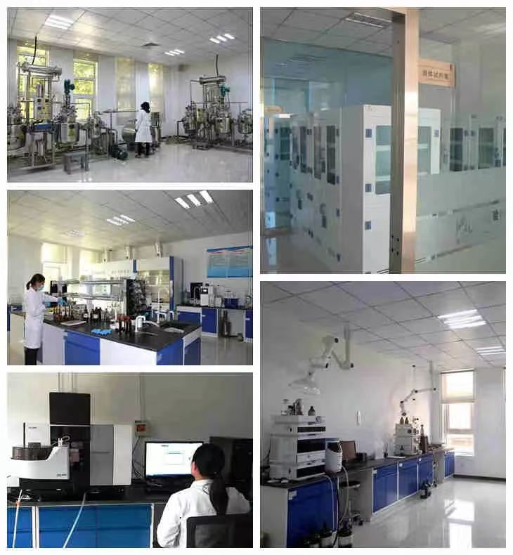 德赢·(VWIN)官方网站-AC米兰官方相助同伴